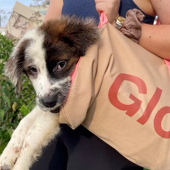 NWT Glossier Duffle Bag Sand Desert Rose Peach Straps Pocket Bag Gym Satchel - Picture 4 of 8